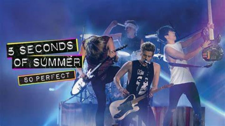 5 Seconds of Summer reveal their perfect girl