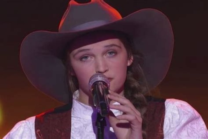 American Idol LIVE Recap Wildcard Night: Judges Pick – Season 15 Episode 15