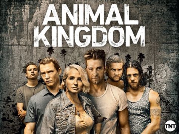 Animal Kingdom Recap 7/19/16: Season 1 Episode 7 "Goddamn Animals"