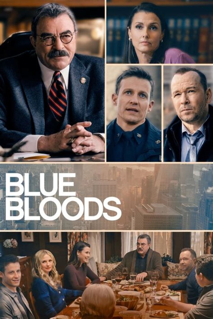 Blue Bloods Recap 4/7/17: Season 7 Episode 19 "Love Lost"