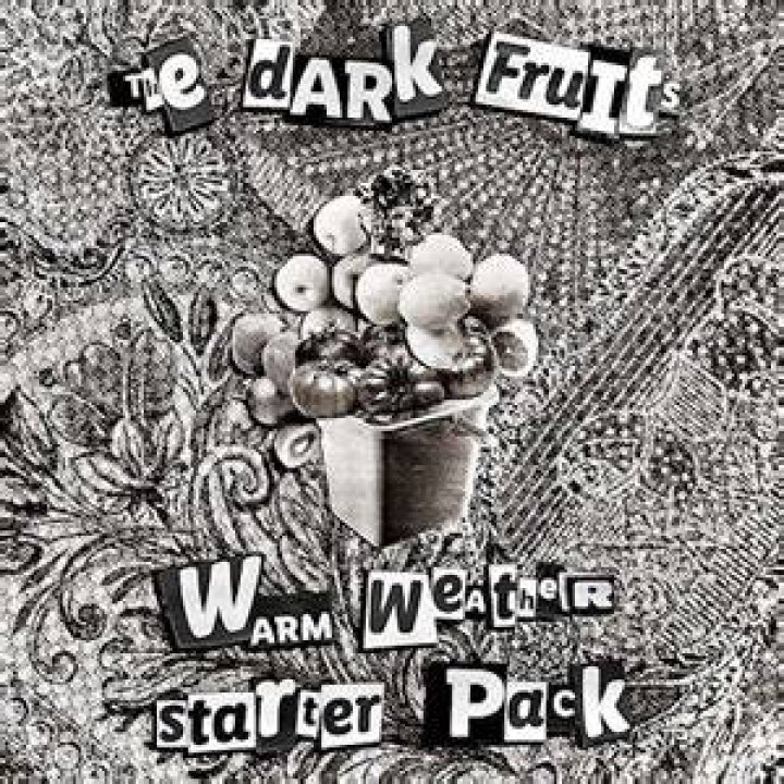Chatting with Jeff Wolosewich of The Dark Fruits about New Album ‘Warm Weather Starter Pack’