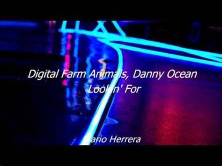 Digital Farm Animals Is "Lookin' For" Love With Danny Ocean in New Track and Video