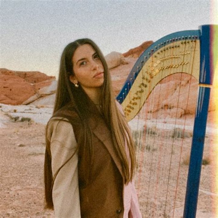 Exclusive: Harpist, composer and electronic artist Lara Somogyi  wows in ||basis|| // video