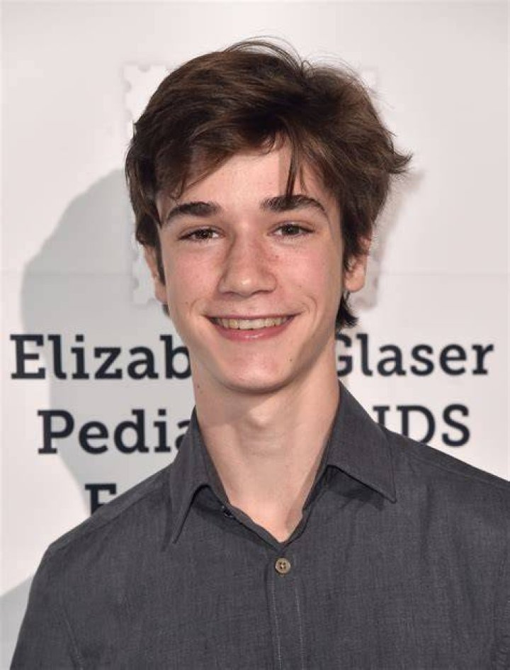 Fame | Daniel DiMaggio net worth and salary income estimation Jan, 2024