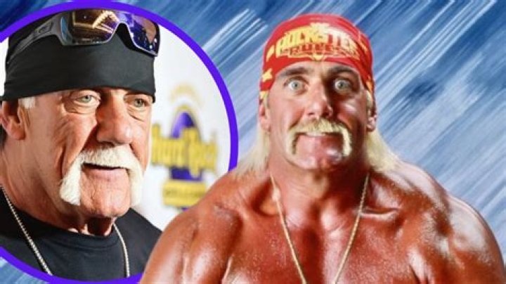 Fame | Hulk Hogan net worth and salary income estimation Apr, 2024