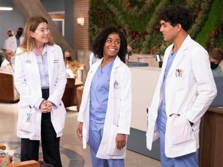Grey’s Anatomy Recap – My Next Life: Season 12 Episode 12