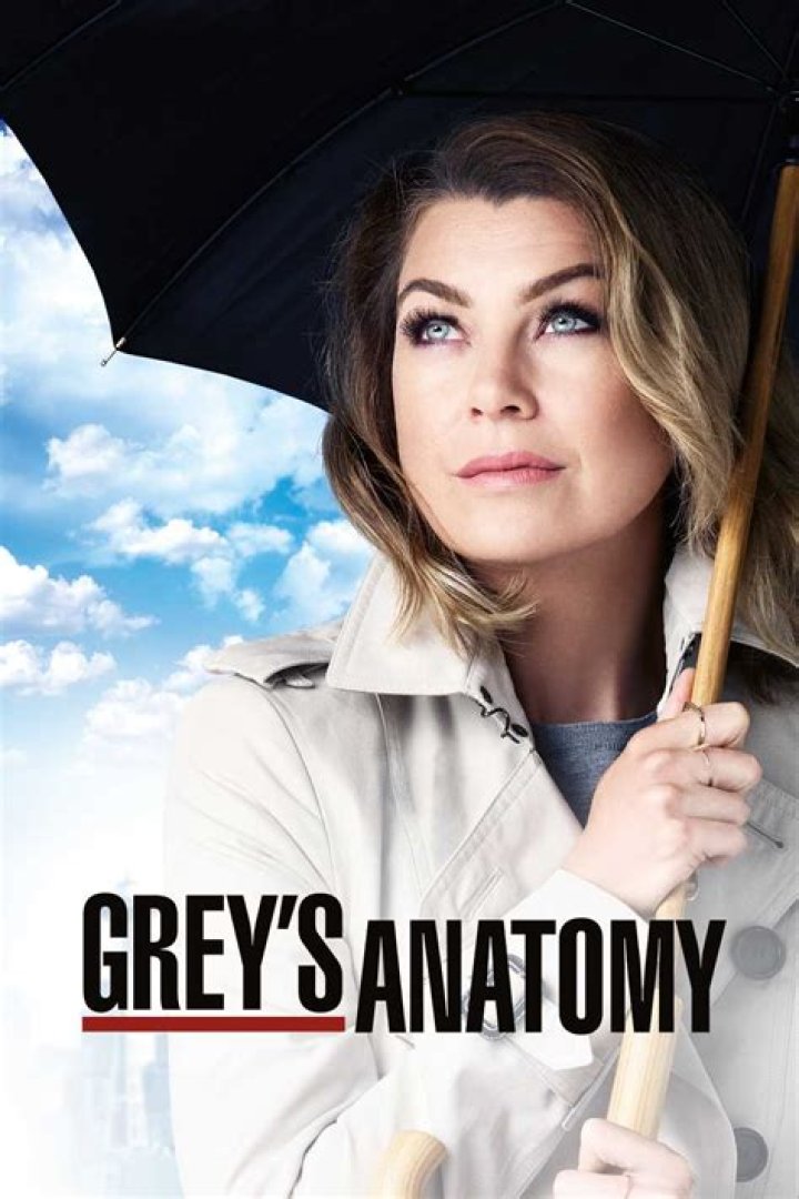 Grey’s Anatomy Recap - My Next Life: Season 12 Episode 12