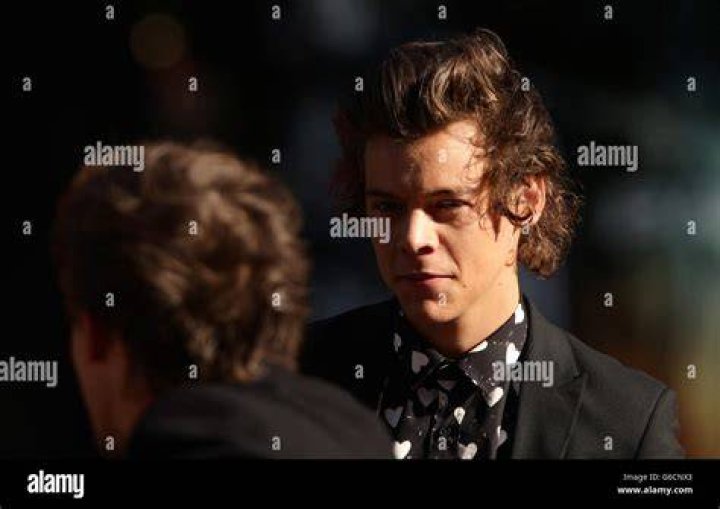 Harry Styles of One Direction, Gay—Fact or Fiction? Harry Styles of One Direction, Gay—Fact or Fiction?