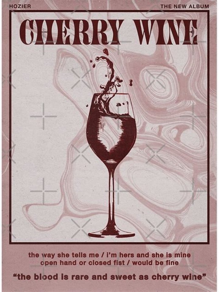 Hozier's Cherry Wine Campaign Against Domestic Violence