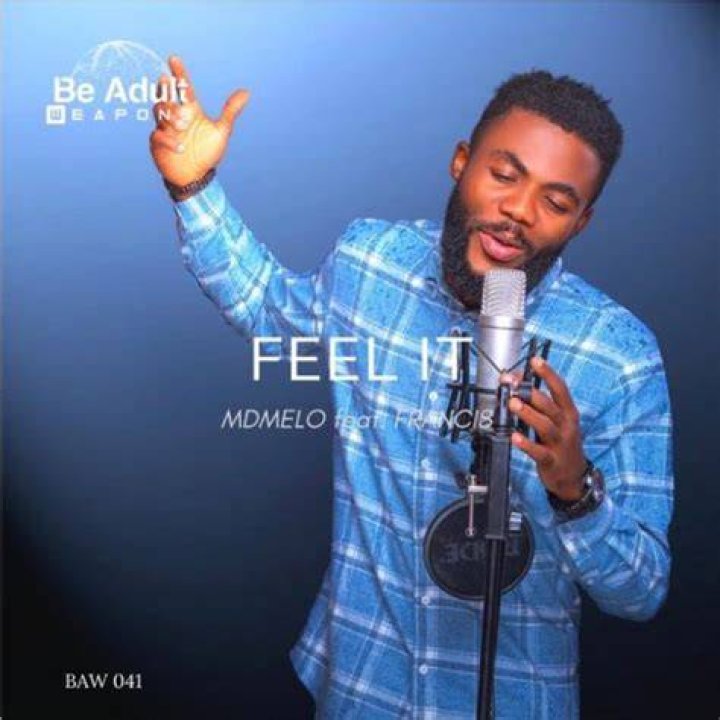 MDMelo infuses classic soul sound with modern electronic waves in his latest album "Feel It" featuring Francis
