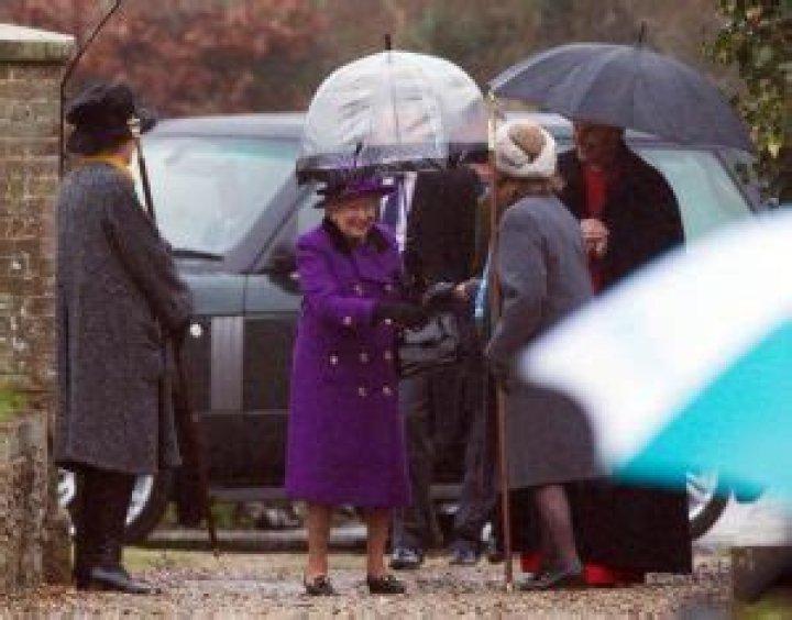 Meghan Markle’s Shame: Brother Thomas Markle’s Violent Arrest Exposed – Queen Elizabeth Displeased