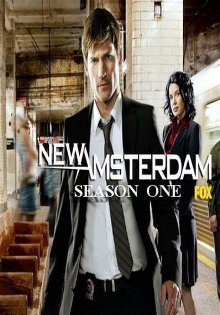 New Amsterdam Recap 10/01/19: Season 2 Episode 2 "The Big Picture"