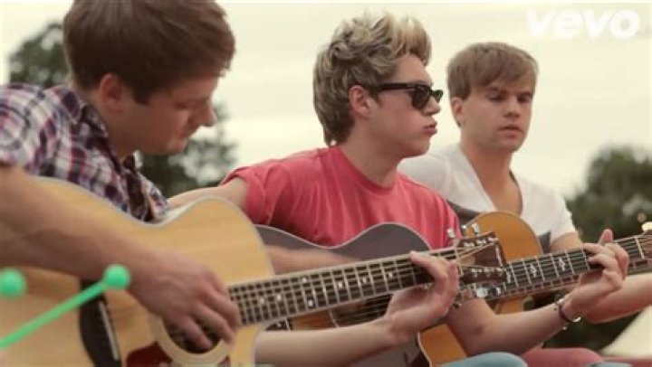 Niall Horan Lwwy Music Video GIF