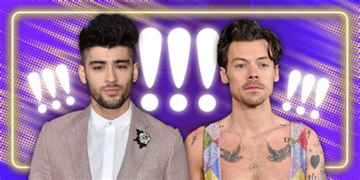 One Direction Harry Styles, Gay—Fact or Fiction?