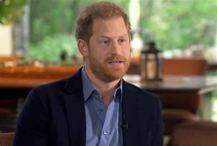 Prince Harry's Royal Underwear Being Worn By Stripper Carrie Reichert In Upcoming Show: Nude Vegas Scandal Haunts Him