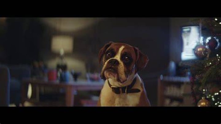 The John Lewis Christmas 2016 Advert Is Finally Here