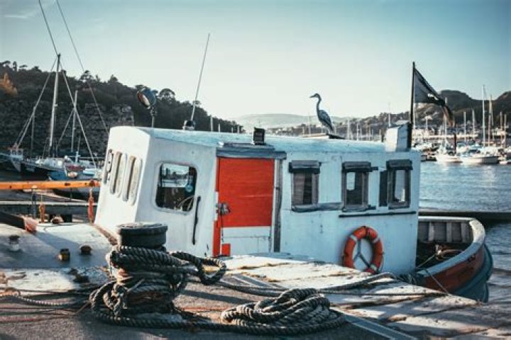 The Strange, Enduring Appeal of Deadliest Catch