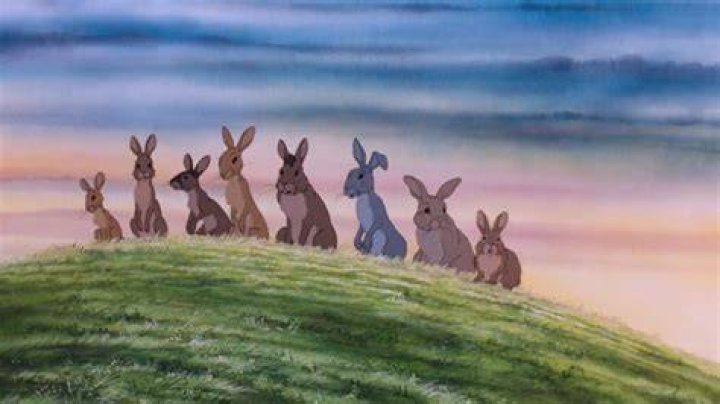 Watership Down: A BBC One & Netflix Partnership