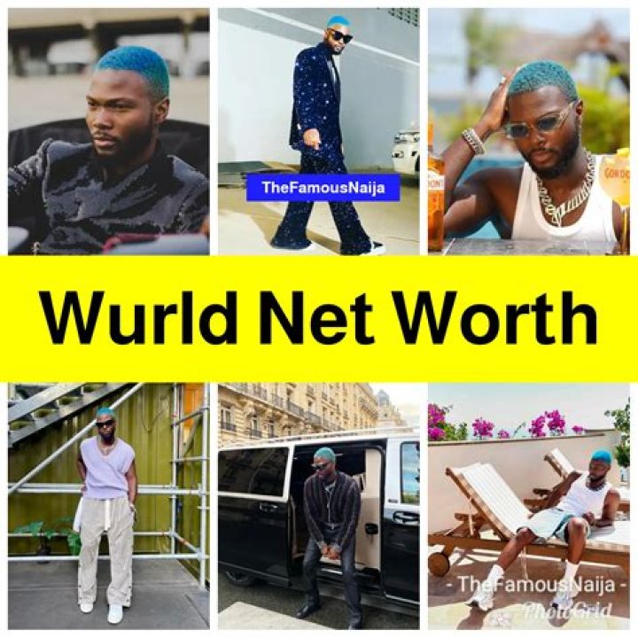wurld net worth