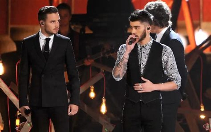 Zayn Malik and Liam Payne want to work together in the future