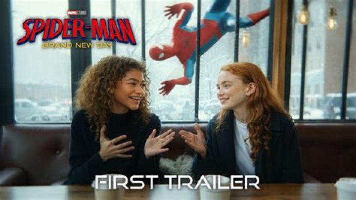 Zendaya Cast in New Spider-Man Movie